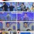 불타는 장미단.E11.230627.1080p.H264-F1RST