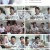 미운 우리 새끼.E351.230709.1080p.H264-F1RST