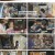 형제라면.E07.230710.1080p.H264-F1RST