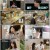 요즘 남자 라이프 신랑수업.E72.230712.720p-NEXT