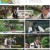 몸쓸것들S급 피지컬의 챌린지 100.E03.230714.1080p.H264-F1RST