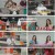셰프들의 치킨 전쟁, 닭, 싸움.E04.230802.1080p.H264-F1RST