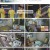 런닝맨.E666.230806.1080p.H264-F1RST