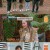 떴다 캡틴 킴.E05.230812.720p-NEXT