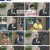 속풀이쇼 동치미.E560.230812.720p.H264-F1RST