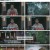 프리한19.E376.230814.1080p.H264-F1RST