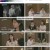 알쓸별잡 (알아두면 쓸데없는 지구별 잡학사전).E03.230817.1080p.H264-F1RST