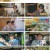 형따라 마야로 아홉 개의 열쇠.E03.230818.1080p.H264-F1RST