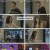 하트시그널 시즌4.E14.230818.1080p.H264-F1RST