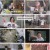 토요일은 밥이 좋아.E85.230819.1080p.H264-F1RST