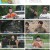 몸쓸것들S급 피지컬의 챌린지 100.소화력.E10.230901.1080p.H264-F1RST
