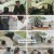 택배는 몽골몽골.E03.230901.1080p.H264-F1RST