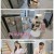 요즘 남자 라이프 - 신랑수업.E175.250806.1080p-F1RST