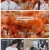 신상출시 편스토랑.E283.250808.1080p-F1RST